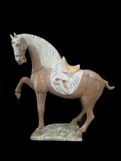 Cheval à la jambe antérieure droite levée...