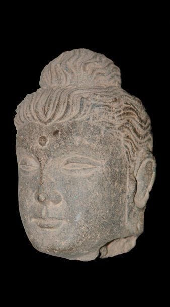 Tête de Bouddha, à la chevelure finement...