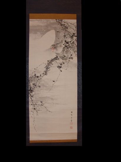 Peinture de Kono Bairei, kakemono, un singe...