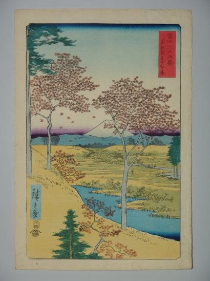 Estampe de Hiroshige, série des 36 vues du...