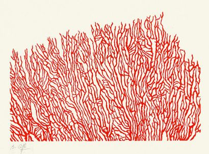 GIFFO Béatrice

Gorgone 3
Linogravure sur...