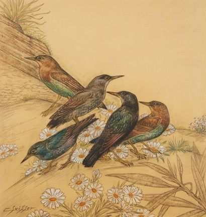 GASTON SUISSE (1896-1988)

Merles d'afrique
Crayon,...