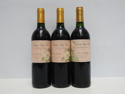 1 B CÔTEAUX DU LANGUEDOC CLOS SYRAH LEONE...