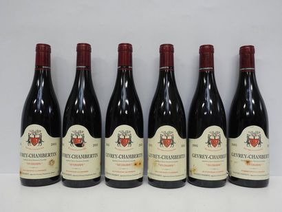 6 B GEVREY-CHAMBERTIN EN CHAMPS 2005 Geantet-Pansiot...