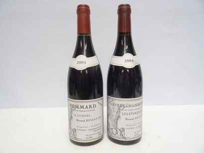 1 B GEVREY-CHAMBERTIN LES EVOCELLES 2004...