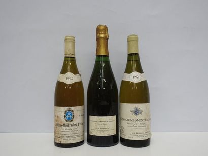 1 B PULIGNY-MONTRACHET LES CHAMPS GAINS (1°...
