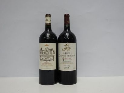 1 Mag CHÂTEAU DE RICAUD 2011 Cadillac Côtes...