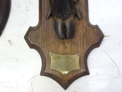 Trophée sanglier, équipage H. Thonier Laissac...