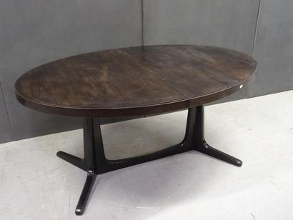 BAUMANN

Table ovale complète de ses deux...