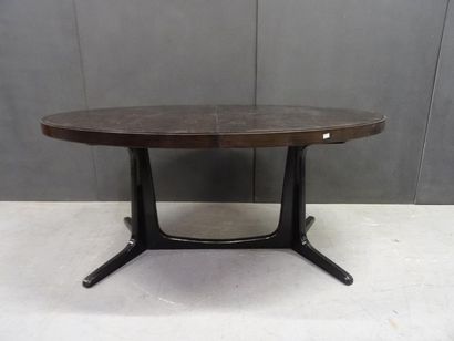 BAUMANN

Table ovale complète de ses deux...