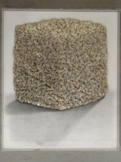 CESAR (1921 - 1998)

Accumulation de Mariannes,

technique...