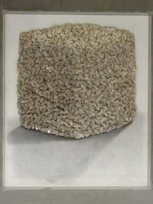 CESAR (1921 - 1998)

Accumulation de Mariannes,

technique...