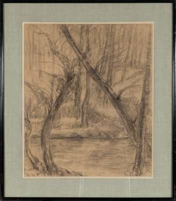 DETROY Léon (1857-1955)

Arbres au bord de...
