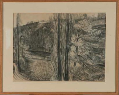 DETROY Léon (1857-1955)

Vallée de la Creuse,

Dessin...