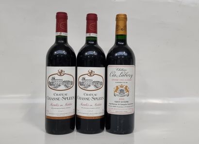 2 B CHÂTEAU CHASSE-SPLEEN 1995 Moulis

1...