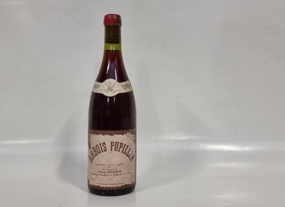 1 B ARBOIS PUPILLIN Rouge 1990 Pierre Overnoy...