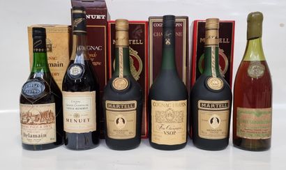 6 B COGNACS DIV Divers (détail et descriptif...