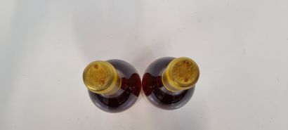 2 B CHÂTEAU D'YQUEM 1981 C1 Supérieur Sauternes...