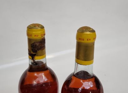 2 B CHÂTEAU D'YQUEM 1981 C1 Supérieur Sauternes...