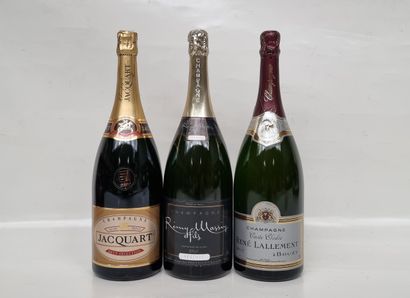 1 Mag CHAMPAGNE BRUT NM Jacquart (e.l.a)

1...