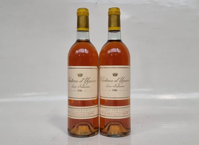 2 B CHÂTEAU D'YQUEM 1981 C1 Supérieur Sauternes...