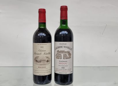 6 B CHÂTEAU LACOMBE-NOAILLAC 1985 Médoc (5...