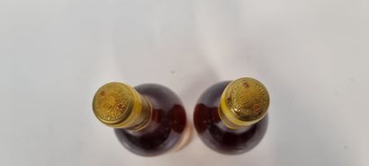 2 B CHÂTEAU D'YQUEM 1981 C1 Supérieur Sauternes...