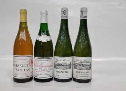 1 B MEURSAULT-SANTENOTS (1° Cru) 1985 Marquis...