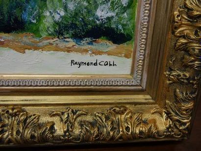 COLL Raymond (born in 1953)

St Saturnin...