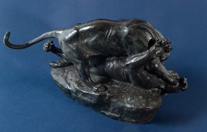 MASSON Clovis Edmond (1838 - 1913)

Panther...