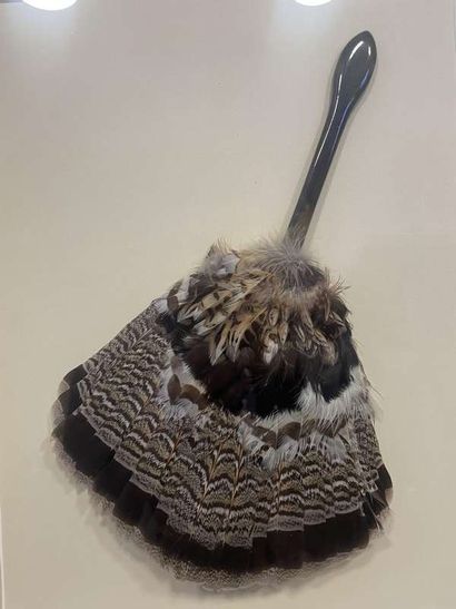 Curious lot composed of a fan in feathers...