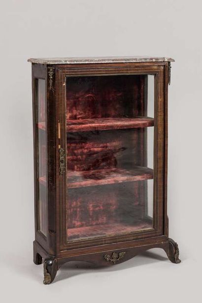 Small veneered display cabinet opening to...