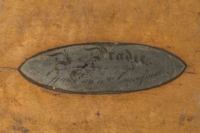 Burr and dark wood filets box, the lid decorated...