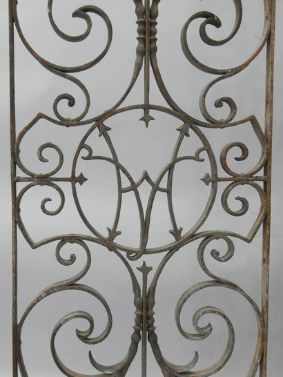 Paire de grilles en fer forgé à décor de...