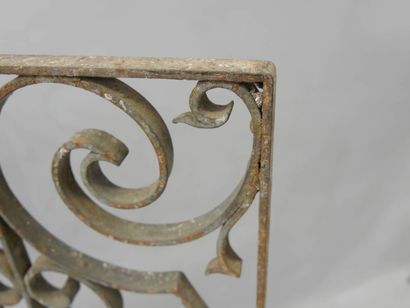Paire de grilles en fer forgé à décor de...