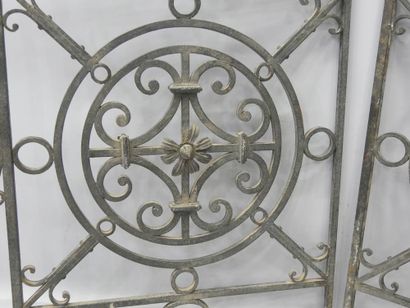 Paire de grilles en fer forgé à décor de...