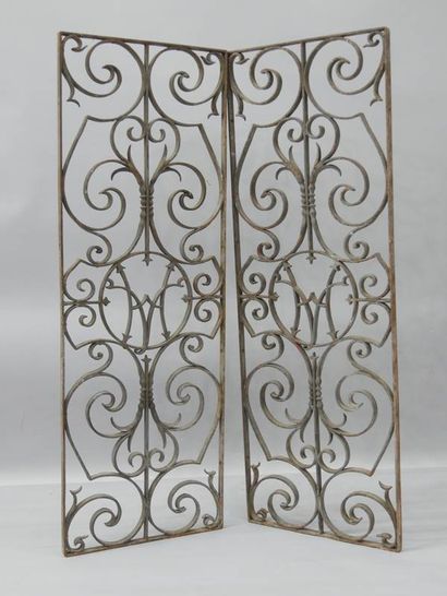 Paire de grilles en fer forgé à décor de...