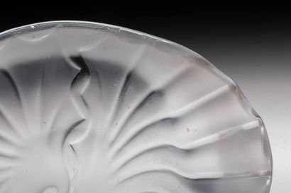 MAISON LALIQUE
Coupe creuse et mouvementée.
Épreuve...