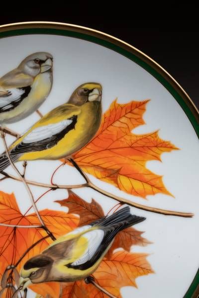 PORCELAINE FRANKLIN - DÉCOR D'ARTHUR SINGER
