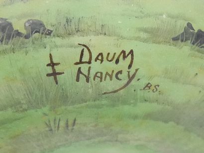 DAUM NANCY
