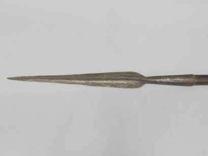 Revolutionary pick. Iron in the shape of...