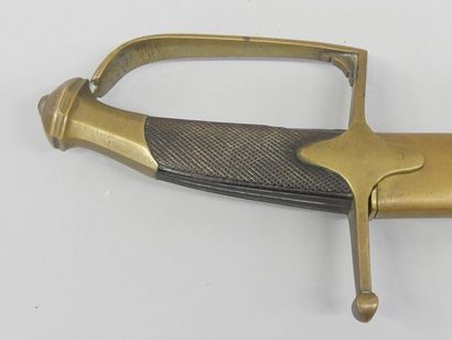 Light cavalry officer's saber. One-panel...