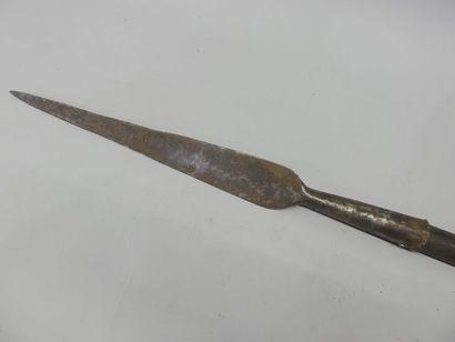 Revolutionary pick. Iron in the shape of...