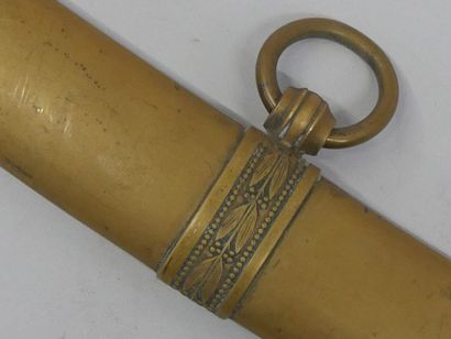 Light cavalry officer's saber. One-panel...