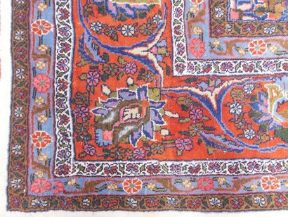 Bidjar carpet (cotton warp and weft, wool...