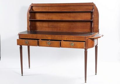 Flat desk in mahogany and veneer decorated...