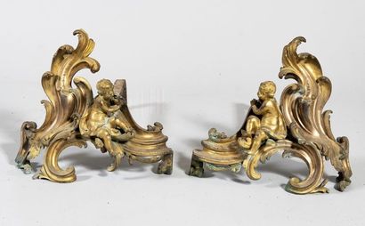 Pair of bronze andirons decorated with loves...