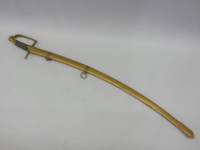 Light cavalry officer's saber. One-panel...