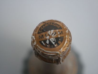 1 Mag CHAMPAGNE BRUT 