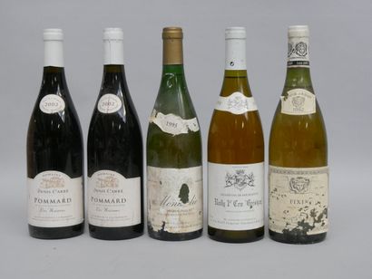 2 B POMMARD LES NOIZONS 2002 Domaine Denis...